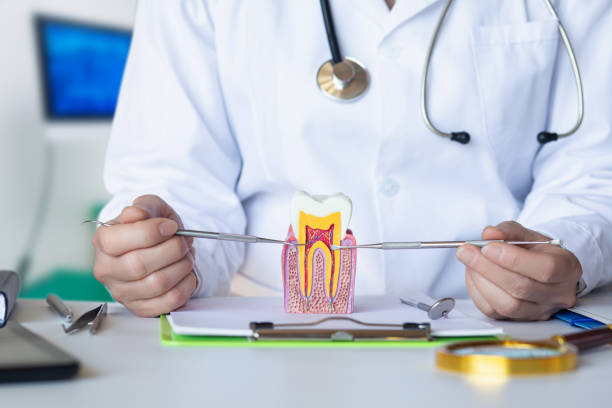 Best Emergency Tooth Extraction in Armada, MI